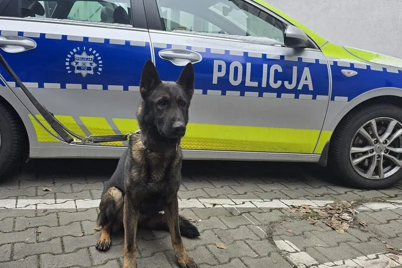 Choroby, które mogą wykluczyć cię z pracy w policji – co warto wiedzieć?