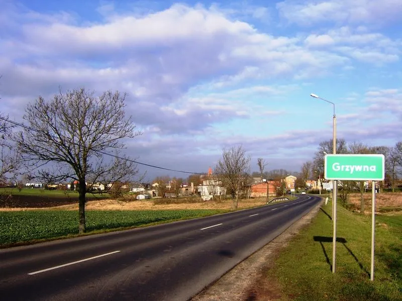 Gdzie wpłacić grzywnę? Sprawdź, na jakie nr konta kierować płatności