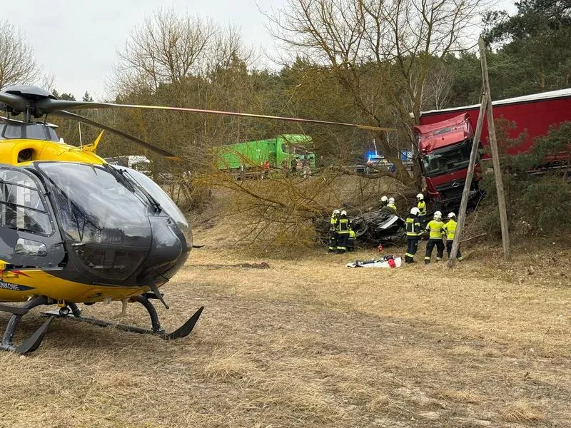 Kryteria decyzji prokuratora