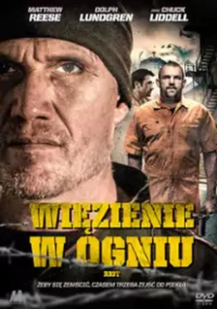 Oglądanie filmów online