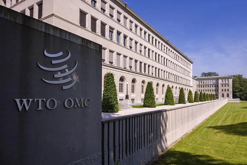 WTO a policja